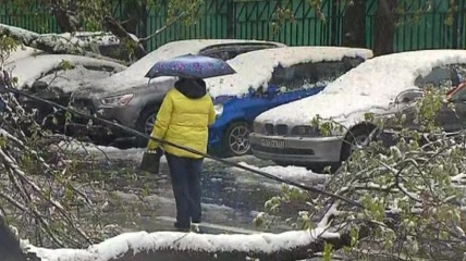 Снег, дождь и снова снег: весна удивляет москвичей