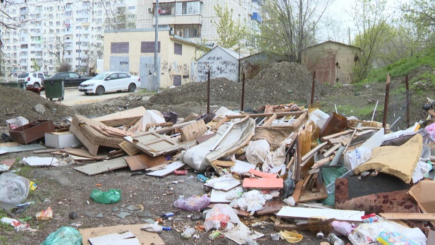 Стихийные свалки в Волгограде привлекают бездомных животных-разносчиков инфекций