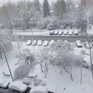 Заметает апрель, заметает - всю столицу. День второй