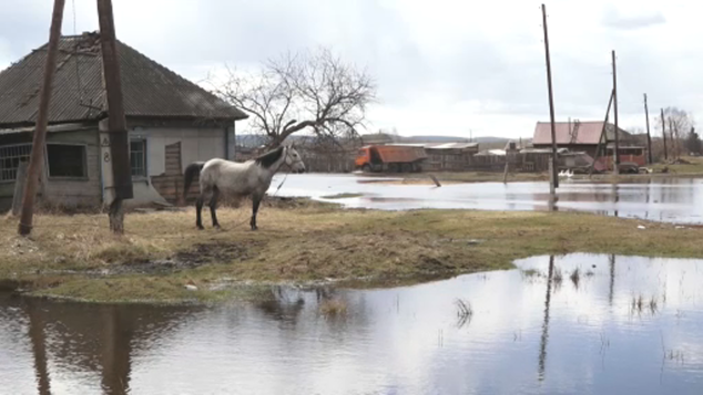 Паводок в Кузбассе