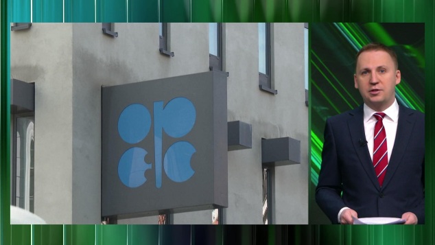 Рынок нефти лихорадит: ОАЭ выходят из ОПЕК