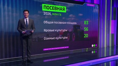 Аграриям компенсируют часть затрат на семена, удобрения и модернизацию объектов