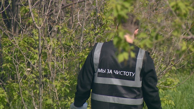 Молодежь убрала мусор на острове Людникова в Волгограде