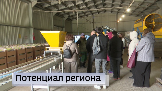 Вести-Псков 29.04.2026 09:30