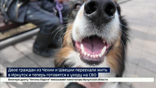Стали Иваном и Сашей. Чех и швед из Иркутска готовятся к уходу на СВО