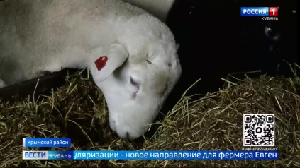 Эфир от 27.04.2026 (11:30)