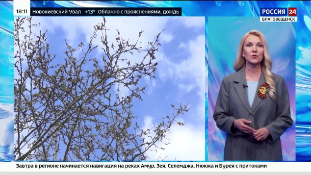 Ливни, грозы и тепло - прогноз погоды на первую неделю мая от амурских синоптиков