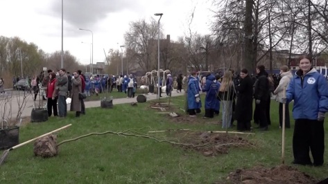 В Нижнем Новгороде стартовал новый сезон акции "Особенности национальной уборки"