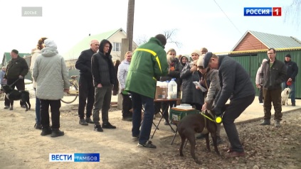 Владельцев домашних животных снова приглашают на бесплатную вакцинацию от бешенства