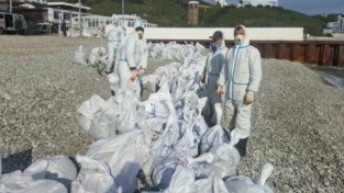 В Туапсе вывезли 17 тысяч кубометров мазута и грязного грунта