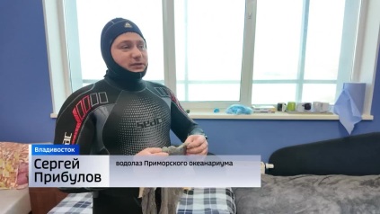 День водолаза отмечают профессиональные ныряльщики Приморья