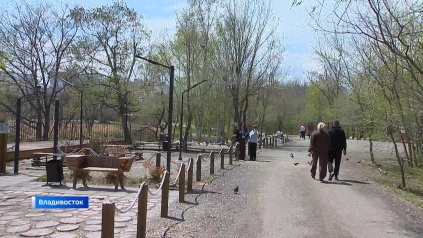 Голоса приморцев решат судьбу парка в пригороде Владивостока