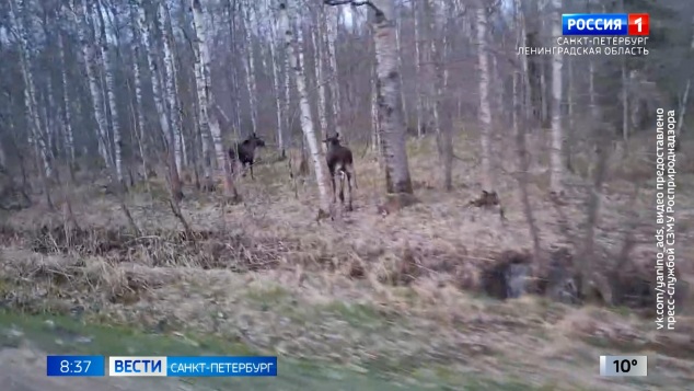 Эфир от 05.05.2026 (08:35)
