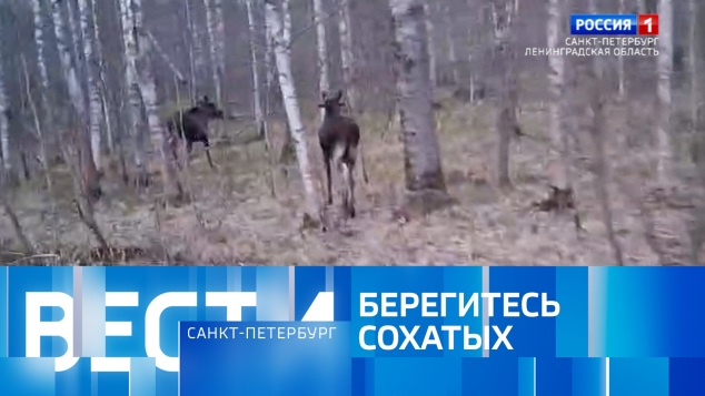 Эфир от 05.05.2026 (09:30)