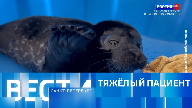 Эфир от 06.05.2026 (09:30)