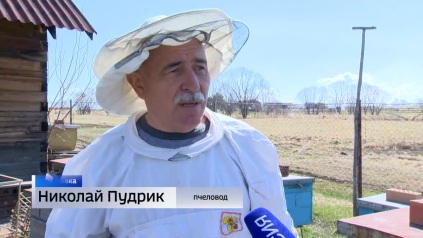 Улья выставлены: янтарное лакомство готовятся собирать пасечники Приморья