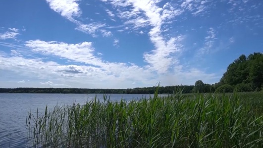 Эфир от 07.05.2026