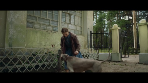 Трейлер Трейлер