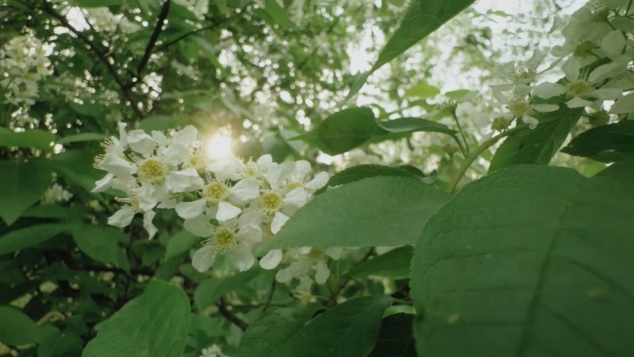 Эфир 07.05.2026 · 21:10