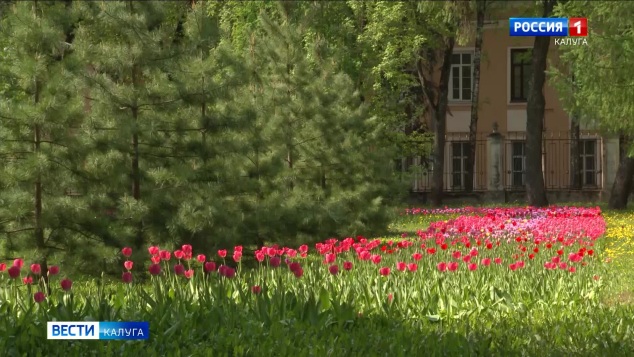 Эфир от 11.05.2026