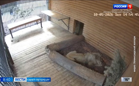 Эфир от 12.05.2026 (08:35)