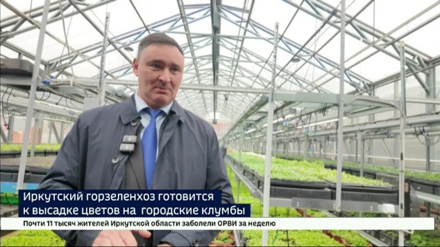 Иркутский горзеленхоз готовится к высадке цветов на городские клумбы