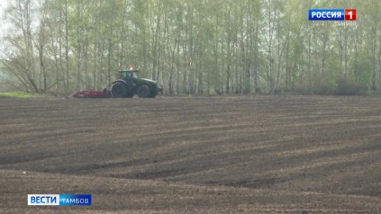 В региональном правительстве обсудили ход посевной кампании
