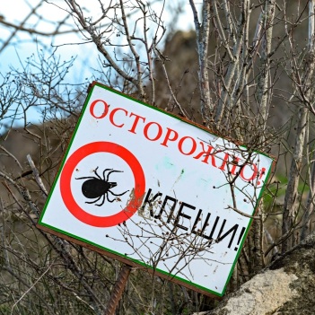 Работа идет: территории школ и летних лагерей обрабатывают от клещей