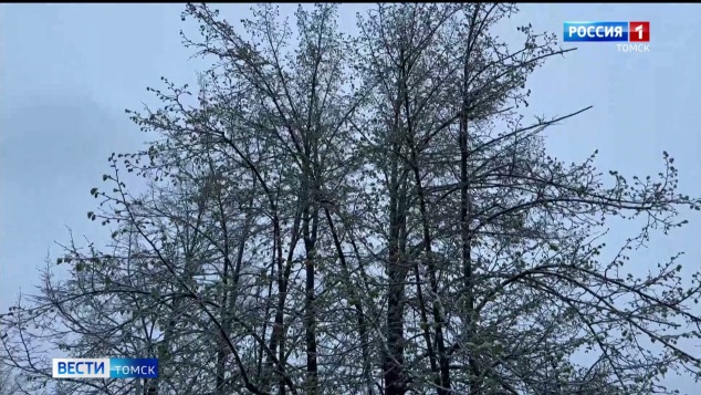 Эфир от 13.05.2026 (11:30)
