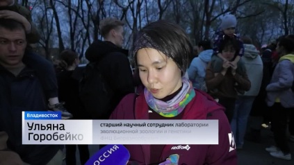 Зубастых летунов-вампиров обласкали приморцы и выпустили на волю