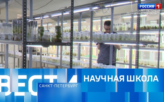 Эфир от 13.05.2026 (11:30)
