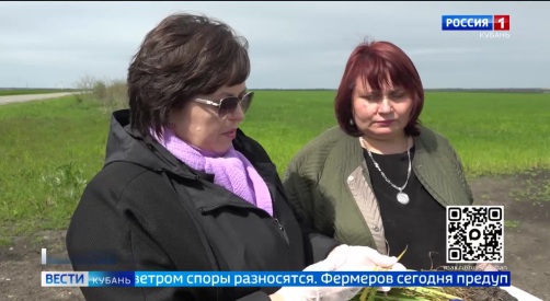 Эфир от 13.05.2026 (11:30)