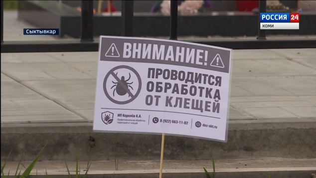 В Сыктывкаре проводят обработки общественных территорий от клещей