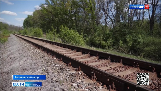 В Белгородской области начали проверку после схода с рельсов вагонов электрички