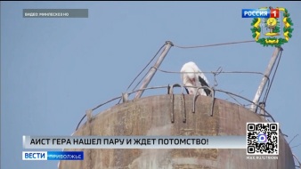 Эфир от 14.05.2026 (09:30)