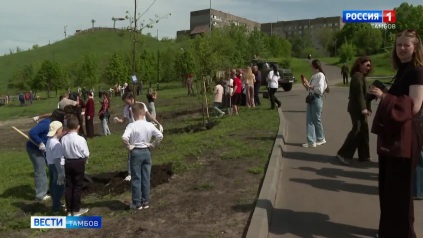 В Ласках высадили 100 крупномеров