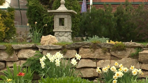 Эфир от 14.05.2026