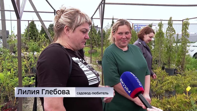 Россельхознадзор по Курской области следит за качеством саженцев