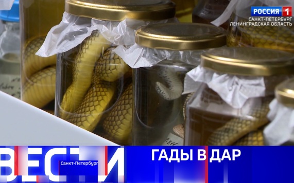 Эфир от 15.05.2026 (11:30)