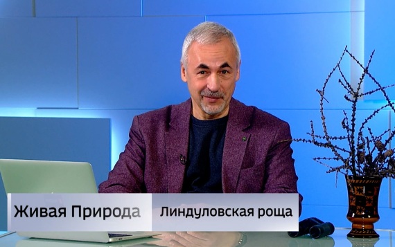 Живая природа. "Линдуловская роща". Эфир от 16.05.2026
