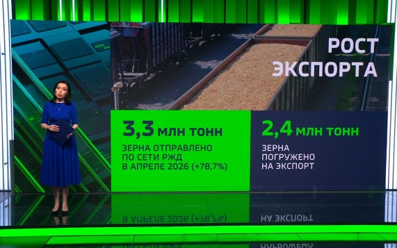 Россия увеличила экспорт зерновых