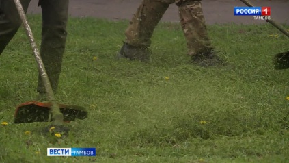 Городским службам требуются косари