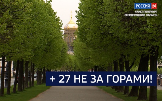 Эфир от 15.05.2026