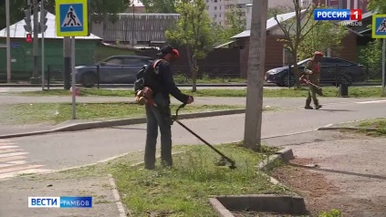 Новости коротко: набор косарей и совещание в областном правительстве