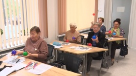 Как работает семейный калькулятор, рассказали амурчанам в День семьи