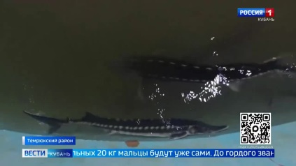 Эфир от 15.05.2026 (21:10)