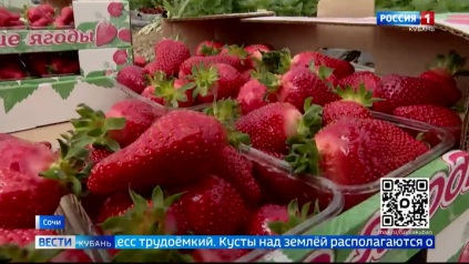 Эфир от 14.05.2026 (21:10)
