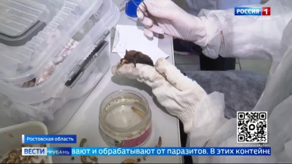 Эфир от 12.05.2026 (11:30)