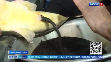 Эфир от 15.05.2026 (11:30)