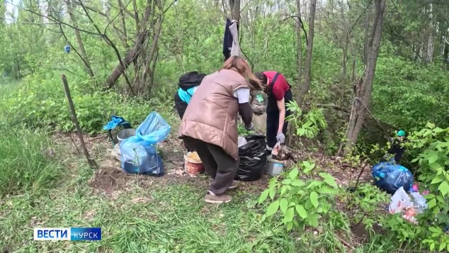 Курские добровольцы вышли в лесополосу и сразились в экобитве